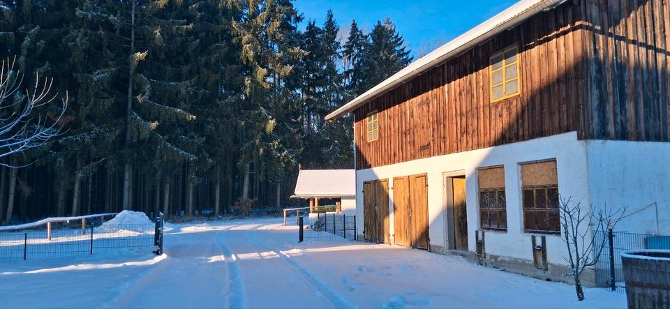 Einfamilienhaus Egglham - 5 Zimmer, 147 m&sup2;, 890.000&euro; | Angebot:24994380