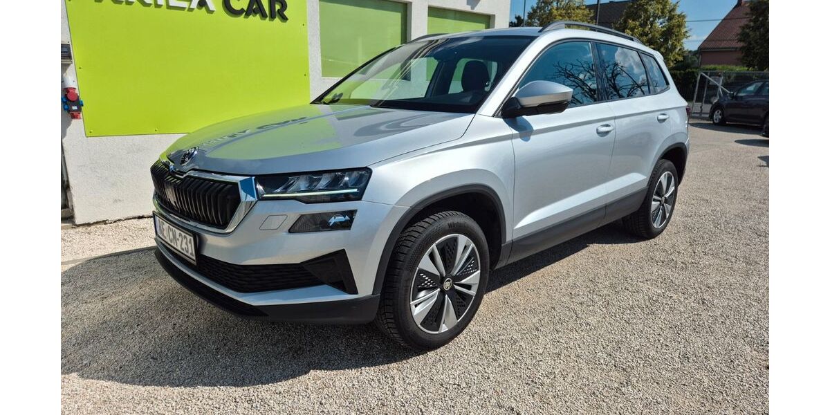 Skoda Karoq 161.200 km 20.500 &euro; Pocking 94060