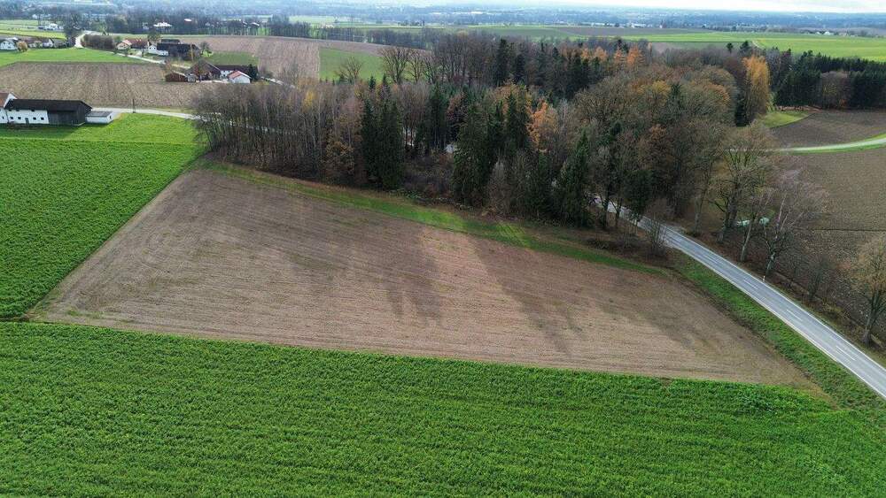 Grundstück Neuhaus am Inn Pumstetten - 325.000&euro; | Angebot:25769718