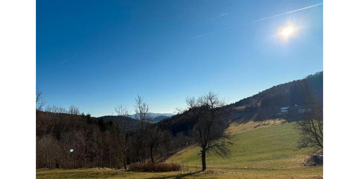 Erdgeschoßwohnung Freyung - 2 Zimmer, 50 m&sup2;, 800&euro; | Angebot:25961694