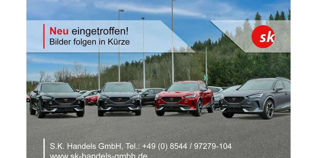 Seat Ibiza 210.000 km 3.900 &euro; Aicha 94529