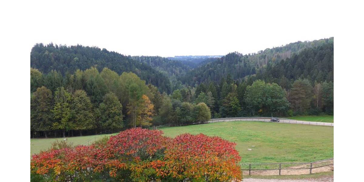 Gewerbeobjekt Vilshofen an der Donau Alling - 3.500.000&euro; | Angebot:25665365