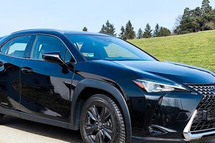 Lexus UX 60.500 km 22.900 &euro; Witzmannsberg 94104