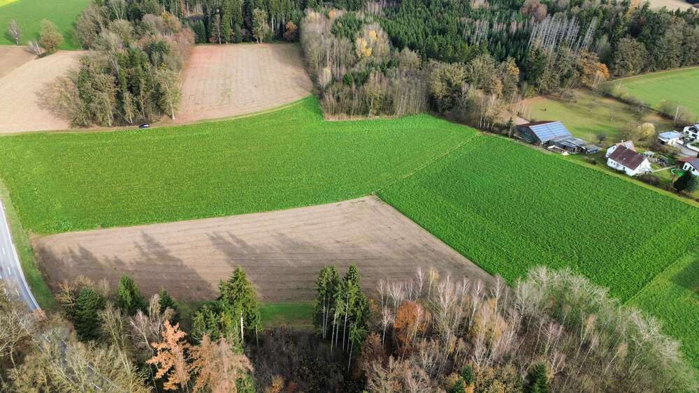 Grundstück Neuhaus am Inn - 325.000&euro; | Angebot:25484125