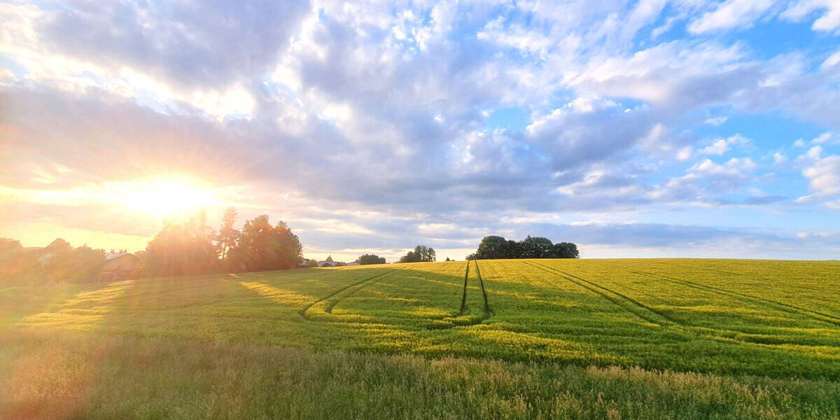 Grundstück Ruhstorf an der Rott Ruhstorf - 59.500&euro; | Angebot:25661366