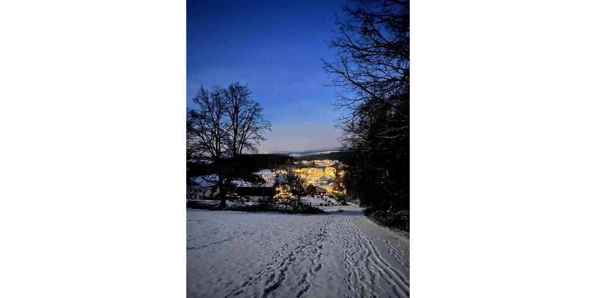 Etagenwohnung Fürstenstein - 3 Zimmer, 92 m&sup2;, 695&euro; | Angebot:26006499