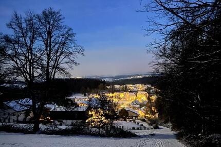 Wohnung Fürstenstein - 3 Zimmer, 92 m&sup2;, 695&euro; | Angebot:26006499