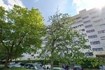 Erdgeschoßwohnung Passau Auerbach - 3 Zimmer, 68 m&sup2;, 155.500&euro; | Angebot:20182148
