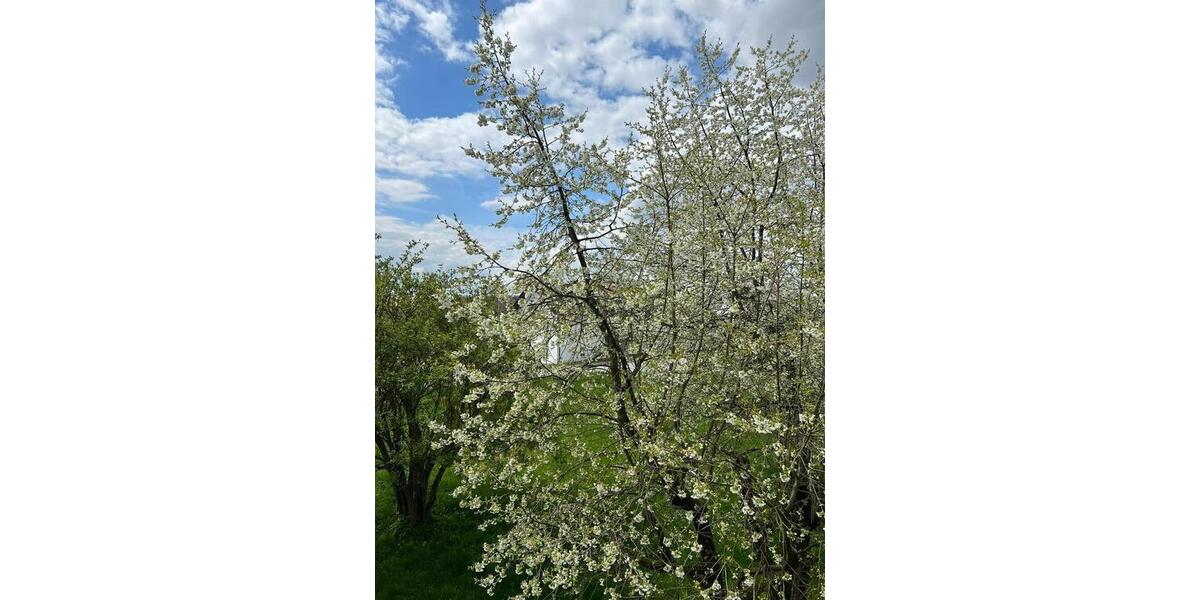 Etagenwohnung Passau Maierhof - 3 Zimmer, 85 m&sup2;, 900&euro; | Angebot:25598912