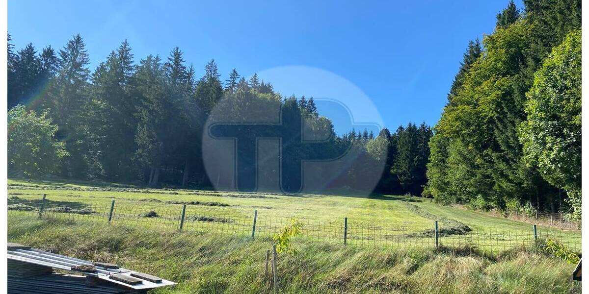 Mehrfamilienhaus, Wohnhaus Freyung Winkelbrunn - 7 Zimmer, 300 m&sup2;, 485.000&euro; | Angebot:25745714