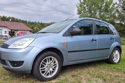 Ford Fiesta 163.296 km 1.300 &euro; Saldenburg 94163