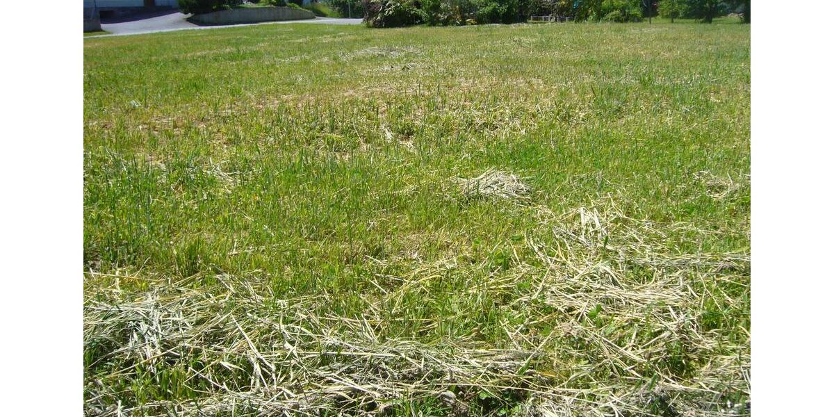 Einfamilienhaus Perlesreut - 120.000&euro; | Angebot:19432851