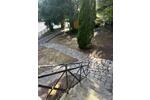 Villa Freyung - 10 Zimmer, 300 m&sup2;, 429.000&euro; | Angebot:26960652