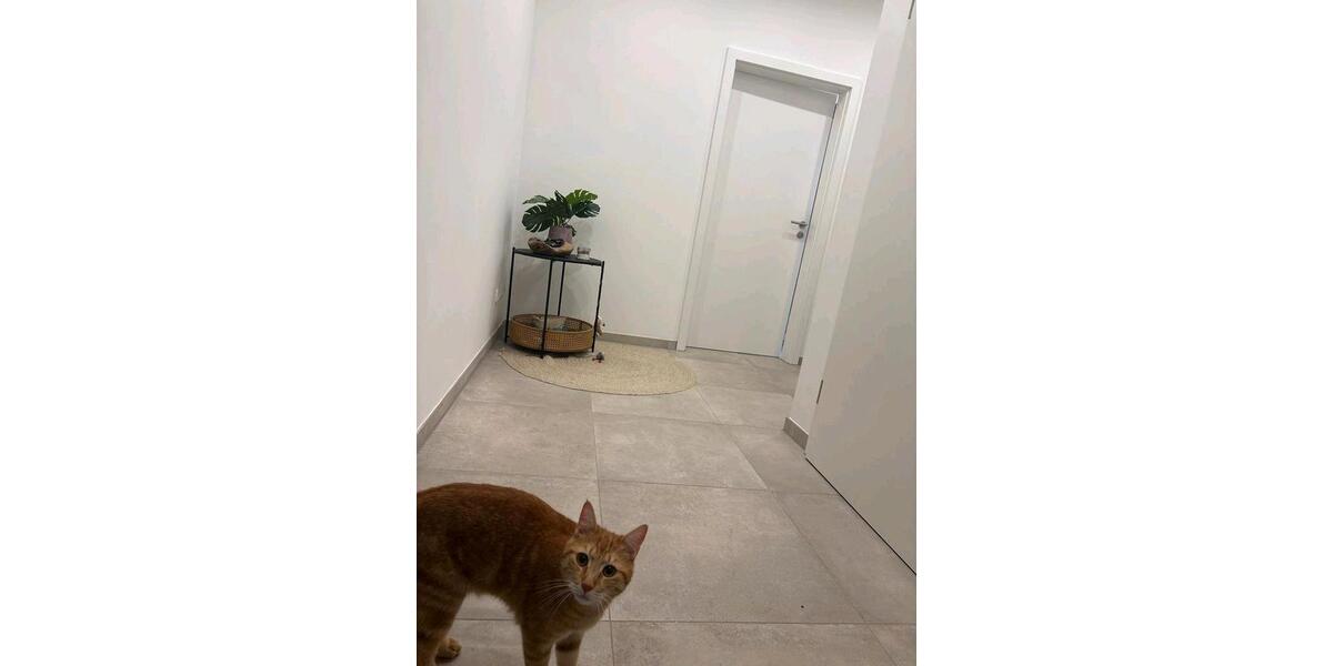 Dachgeschoßwohnung Fürstenstein - 3 Zimmer, 94 m&sup2;, 870&euro; | Angebot:26025702