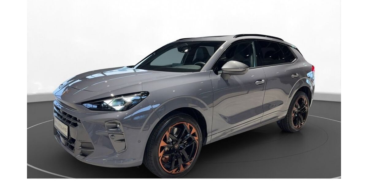 Cupra Terramar 11.890 km 43.390 &euro; Passau 94036